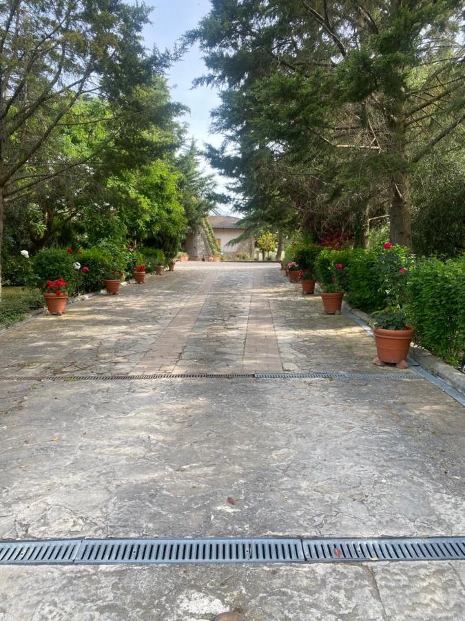 דירות Casamaggiore Trasimeno 2 מראה חיצוני תמונה